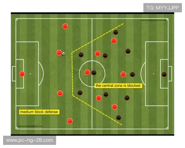 南京乒乓球队的战术解析与技术控制深度剖析