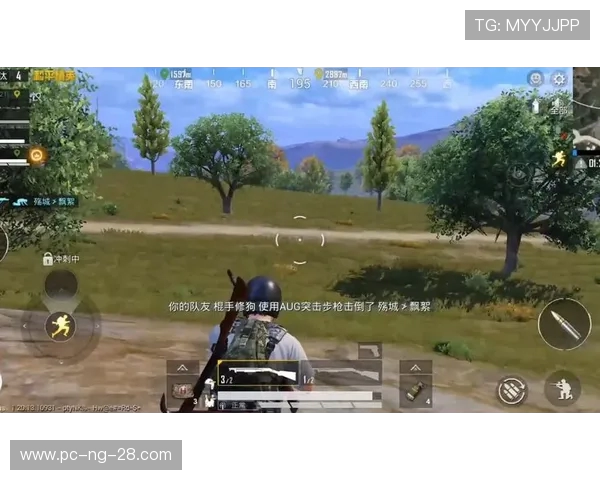 和平精英热议：BLG的耐力争议